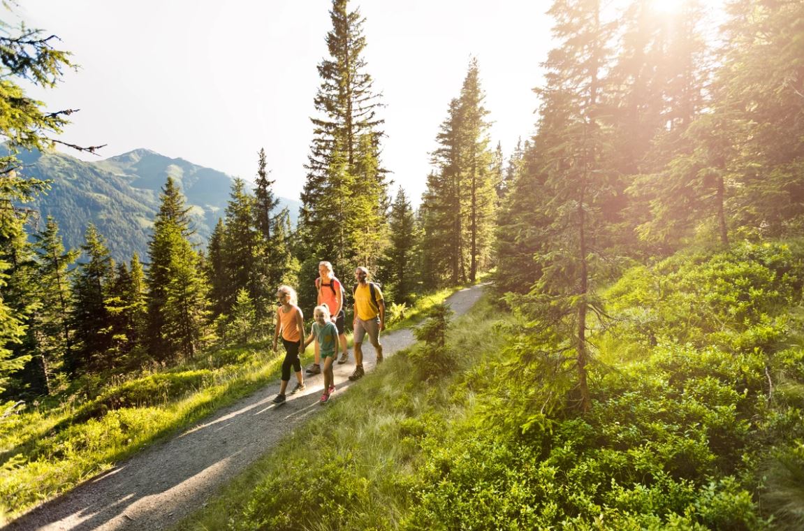 Berg Kodok in Hinterglemm am Reiterkogel - Erlebniswanderweg für Kinder