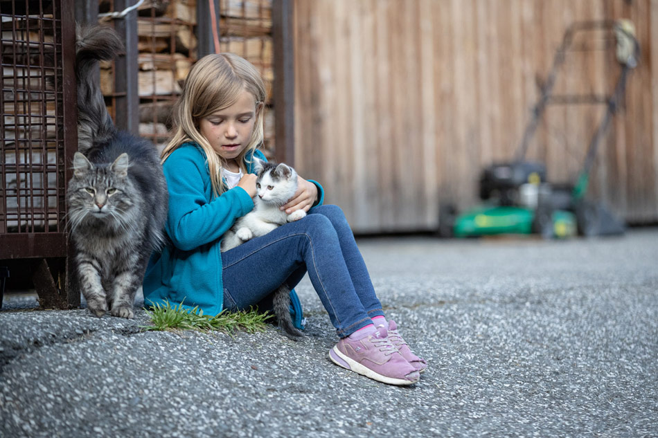Kinderparadies mit unseren Katzen