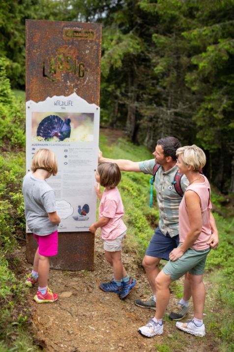 Eine Station am Wildlife Trail Saalbach Hinterglemm