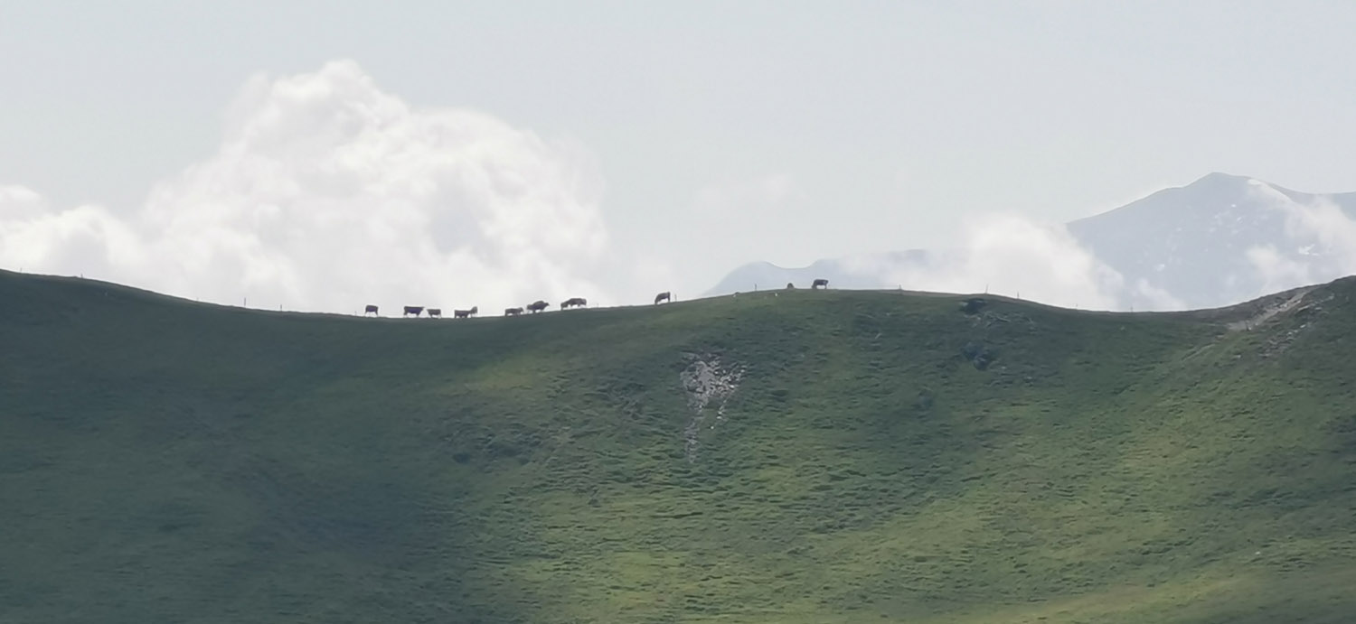 Hauswanderung auf den Hochkogel