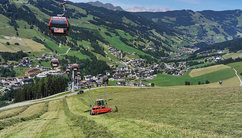 Das Areal unter der 12erKogel-Bahn wird von uns bewirtschaftet