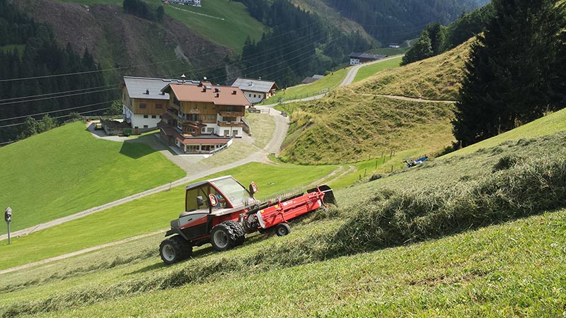 Die Hänge, die im Winter Skipisten sind, werden im Sommer von uns gemäht