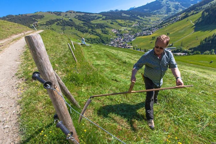 Am Bergbauernhof wird auch noch die Sense verwendet - der Schwiegervater beim Sense mähen