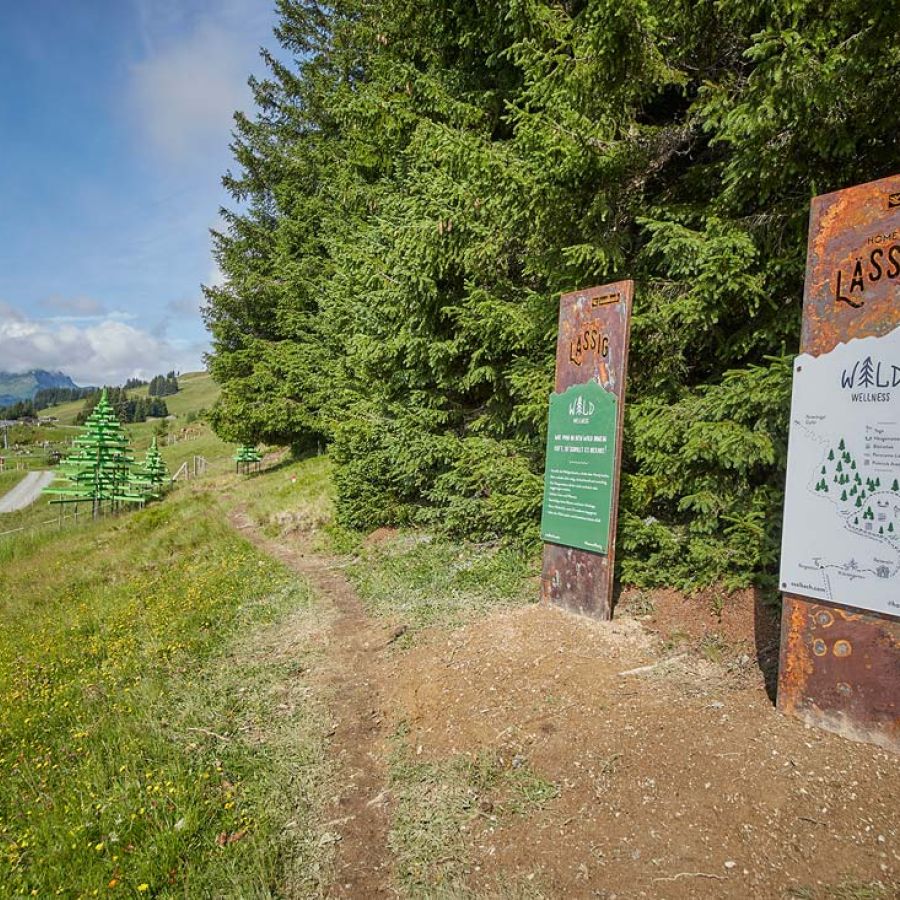 Waldwellness am Reiterkogel in Hinterglemm