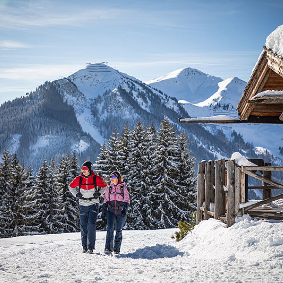 Winterwandern in den Bergen