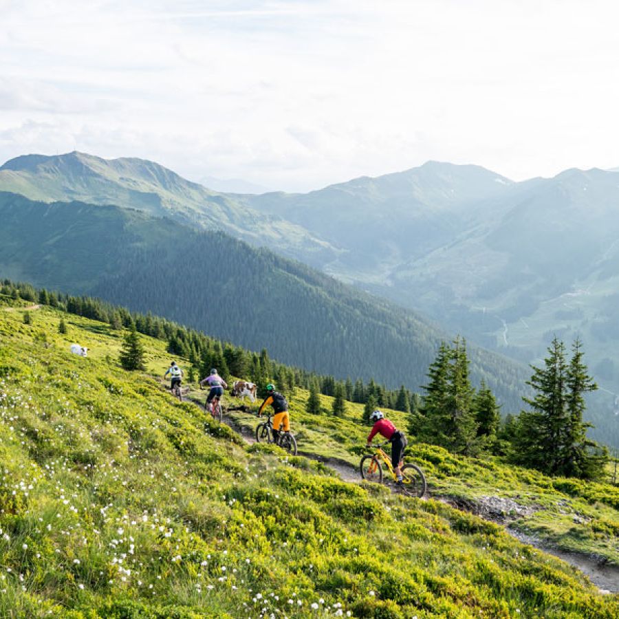 Der legendäre Hacklbergtrail am Westgipfel in Hinterglemm