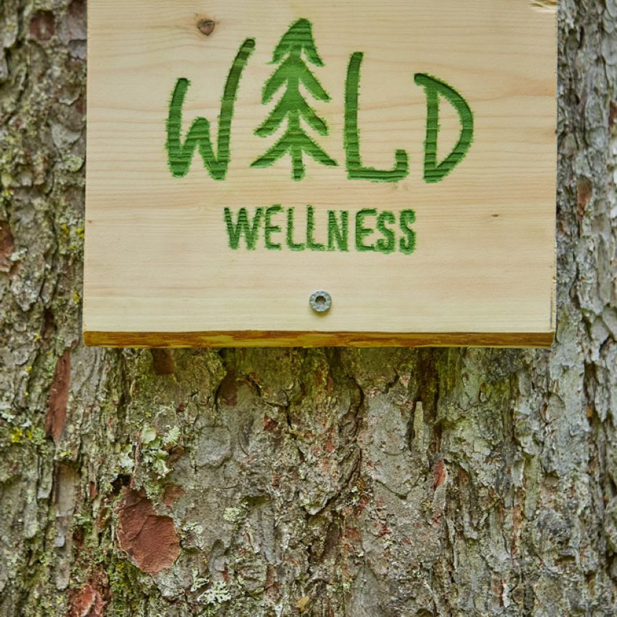 Waldwellness am Reiterkogel in Hinterglemm