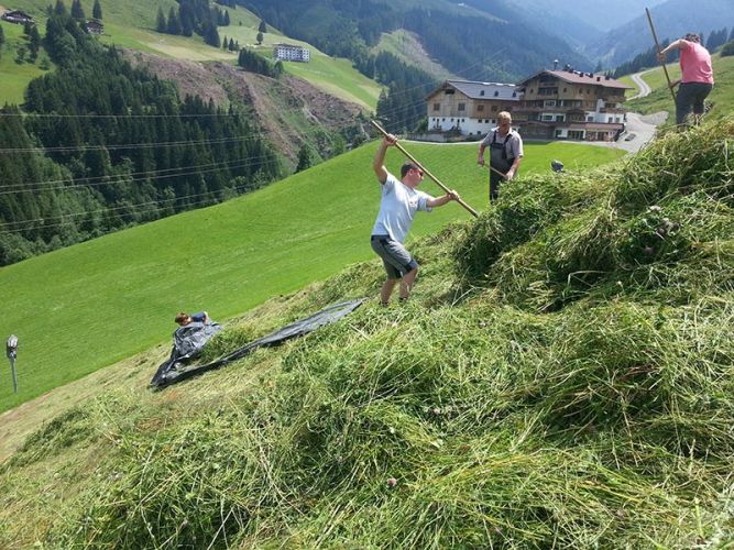 Sehr steile Hänge die ausschließlich per Hand bearbeitet werden