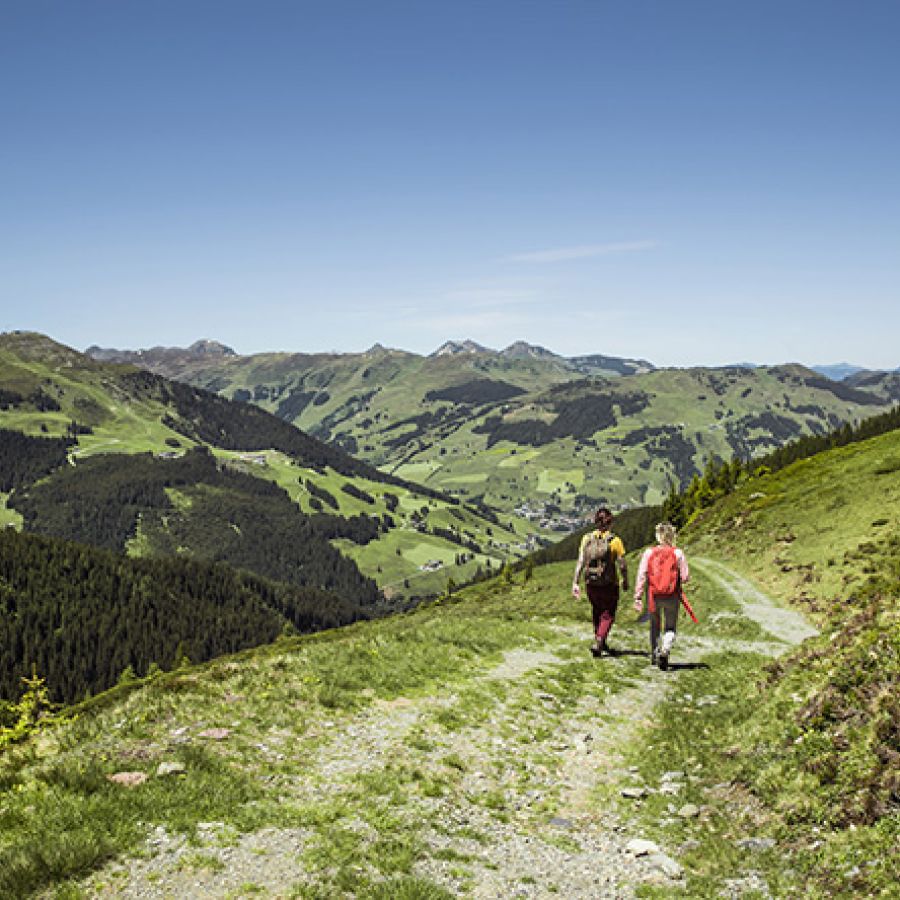 Pinzgauer Spaziergang - Wanderurlaub in Saalbach Hinterglemm