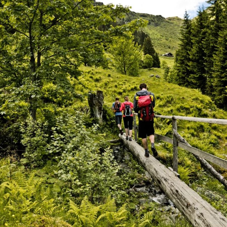 Wanderlehrpfad im Talschluss von Hinterglemm