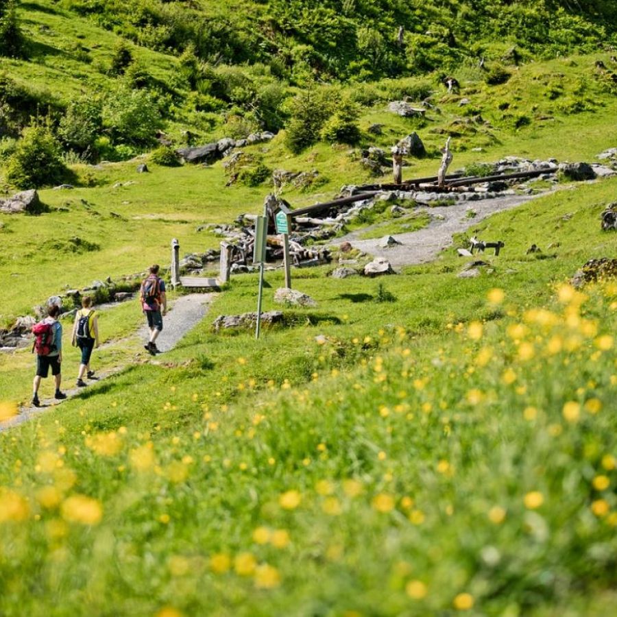 Wanderlehrpfad im Talschluss von Hinterglemm