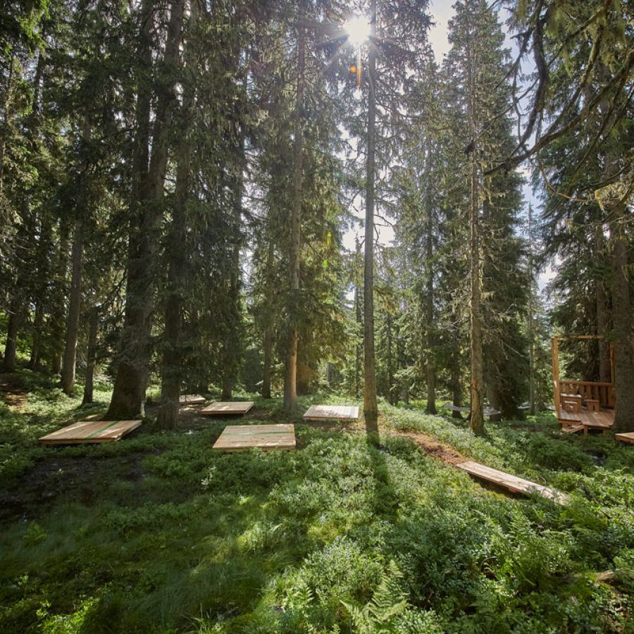 Waldwellness am Reiterkogel in Hinterglemm