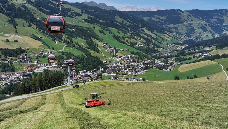 Das Areal unter der 12erKogel-Bahn wird von uns bewirtschaftet