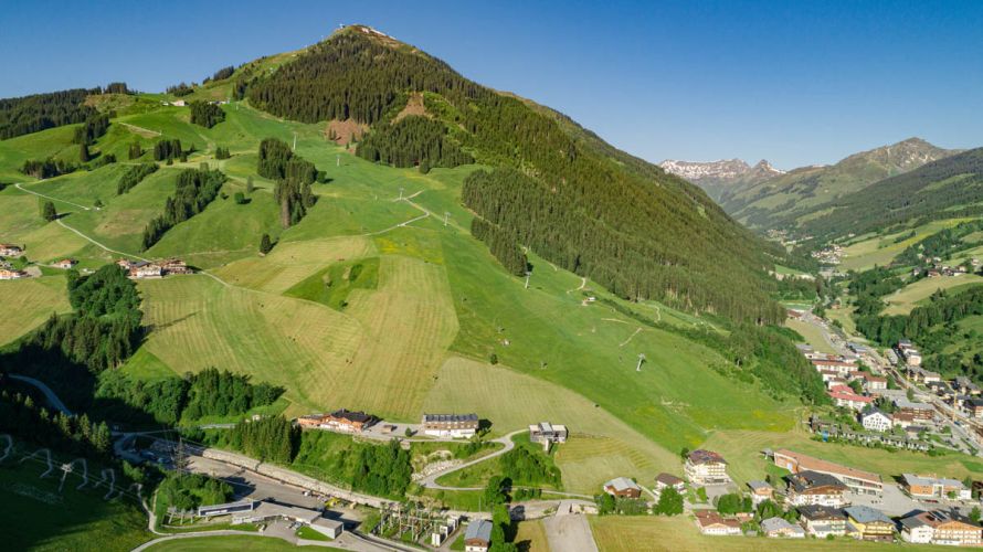 Das Ausmaß der Heuarbeiten am 12erKogel im Überblick