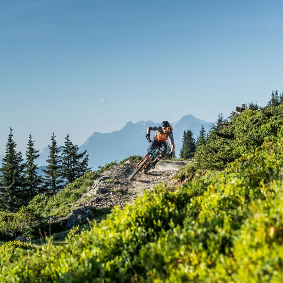 Hackelbergtrail in Saalbach