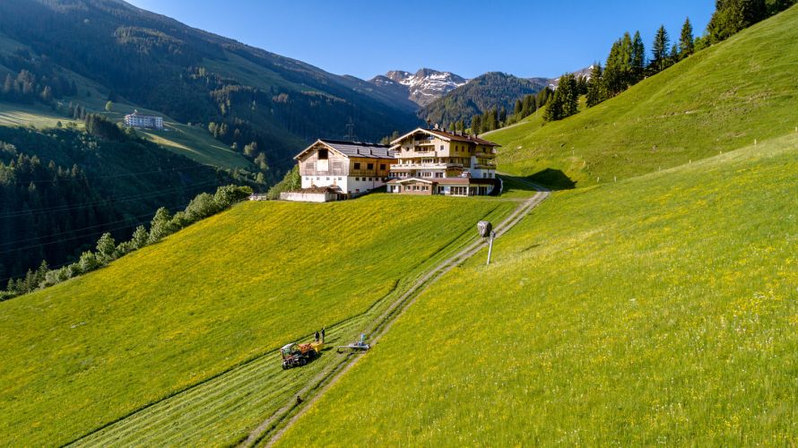 Unser Hof am 12erKogel beim ersten Schnitt