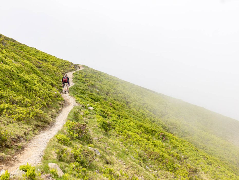 Familienwanderung zur Hacklbergalm in Hinterglemm