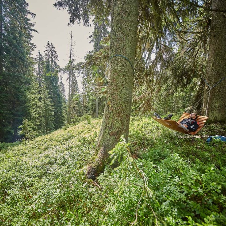 Waldwellness am Reiterkogel in Hinterglemm