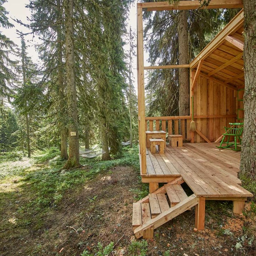 Waldwellness am Reiterkogel in Hinterglemm