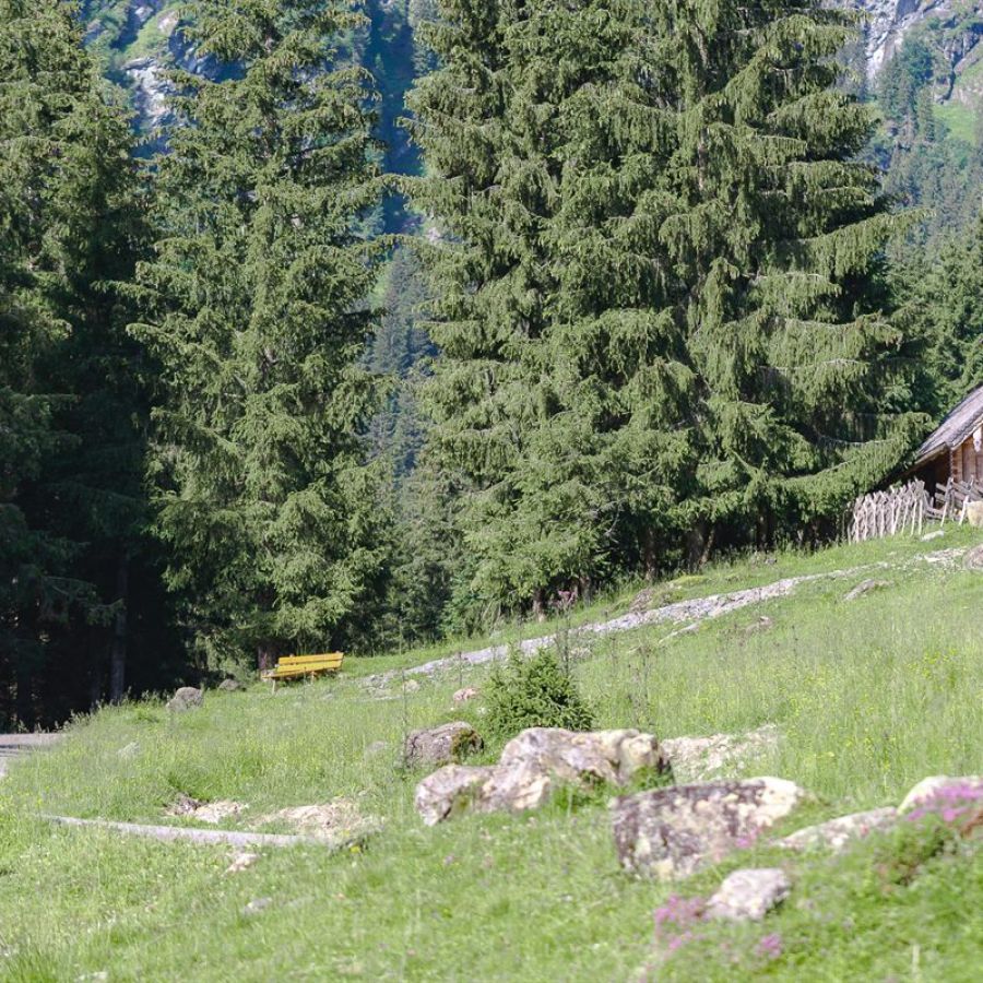 Gravel Biken in Saalbach Hinterglemm