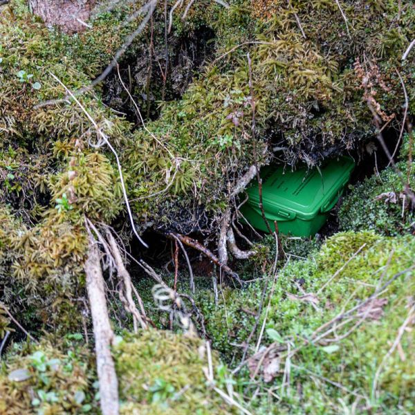 Geocache unter Moos versteckt am Fluss