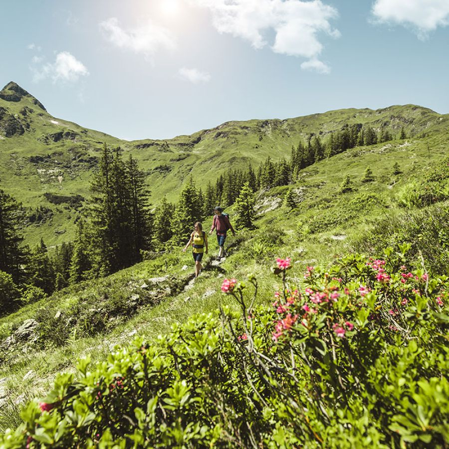 Home of Lässig Walk in Hinterglemm