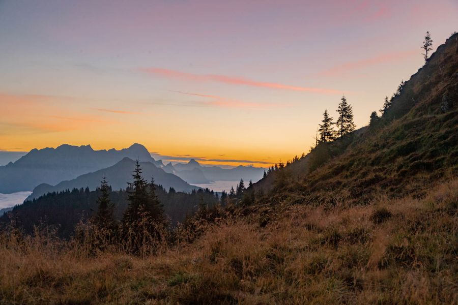Sonnenaufgangswanderung in den Alpen