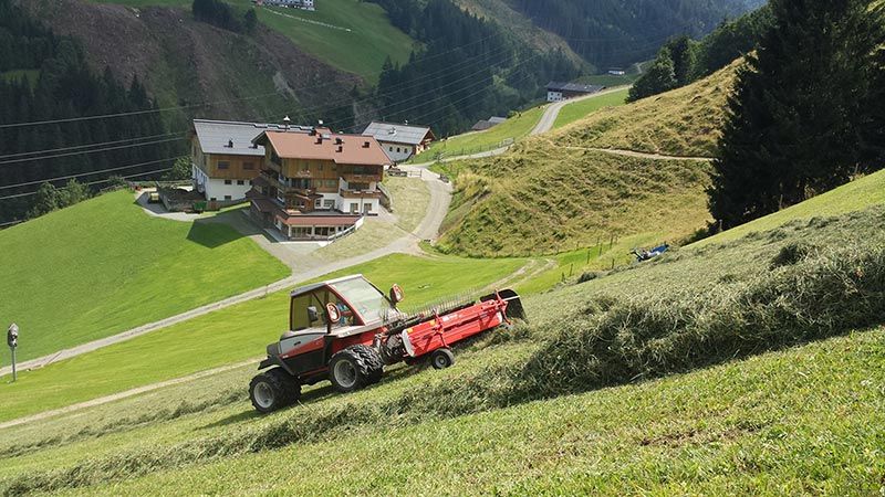 Die Hänge, die im Winter Skipisten sind, werden im Sommer von uns gemäht