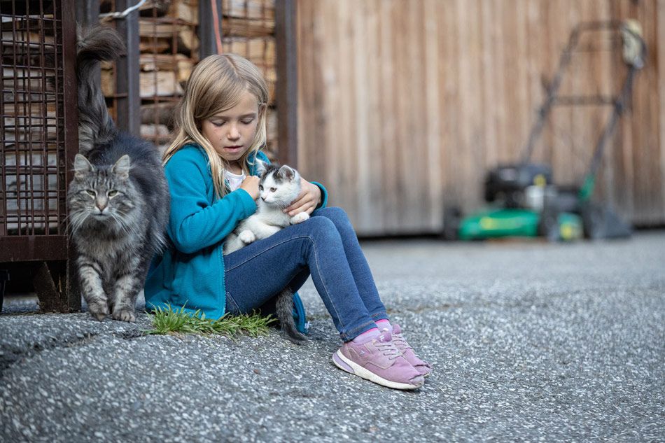 Kinderparadies mit unseren Katzen