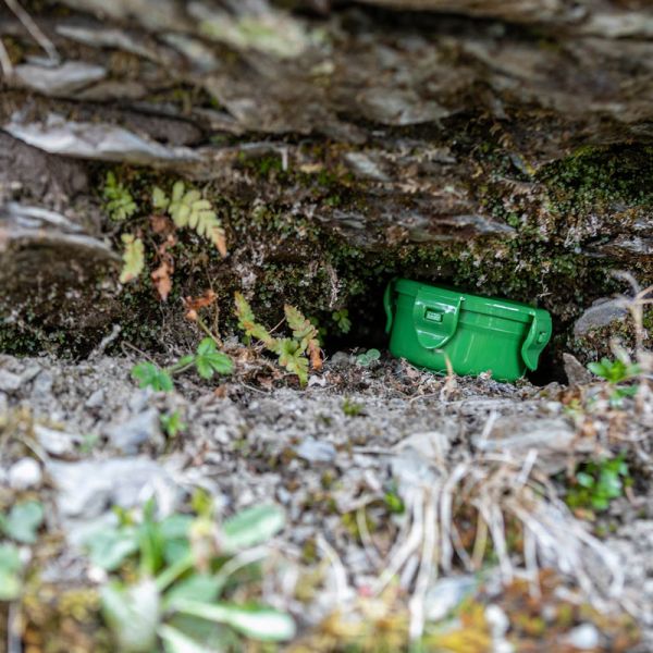 Geocache im Wald versteckt