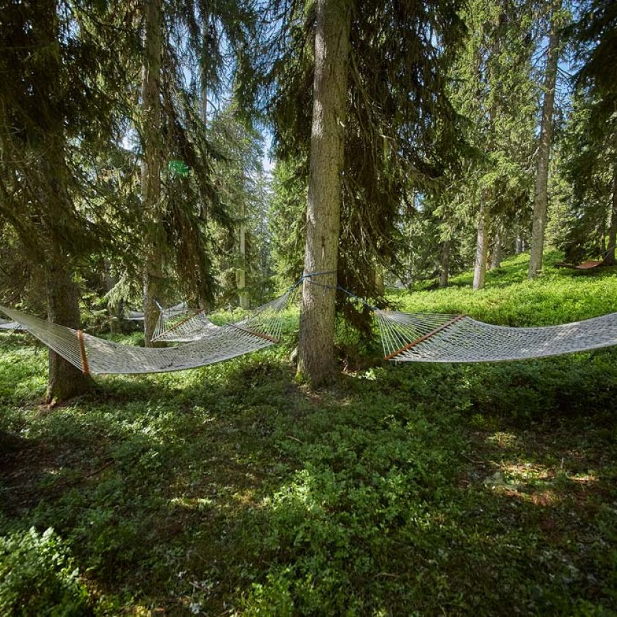Waldwellness am Reiterkogel in Hinterglemm