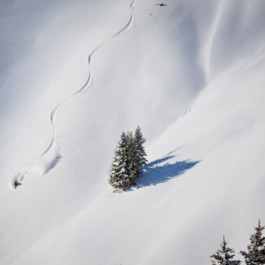 Freeriding in Saalbach-Hinterglemm-Leogang-Fieberbrunn