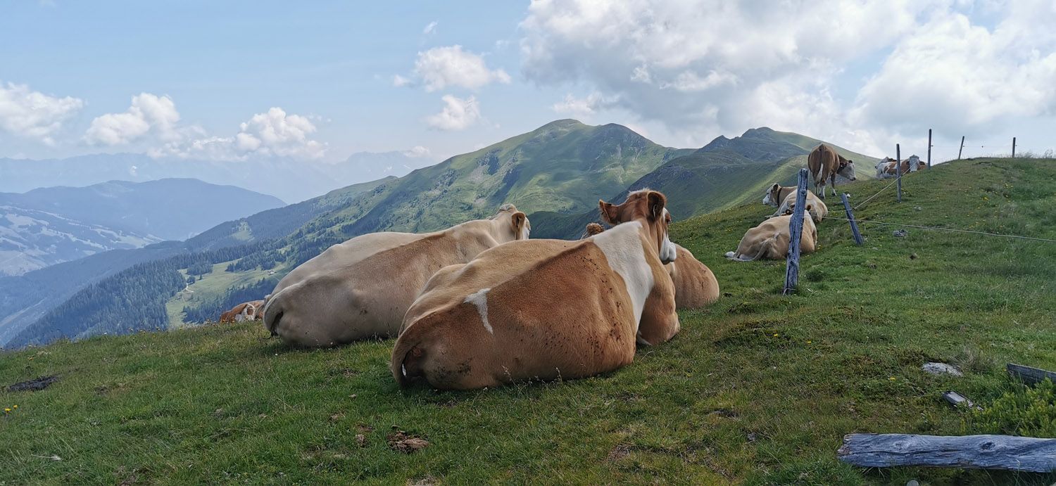 Hauswanderung auf den Hochkogel