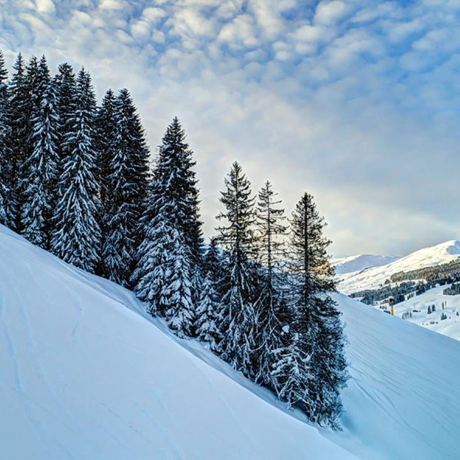 Tief verschneite Wälder und Berge in der Abenddämmerung