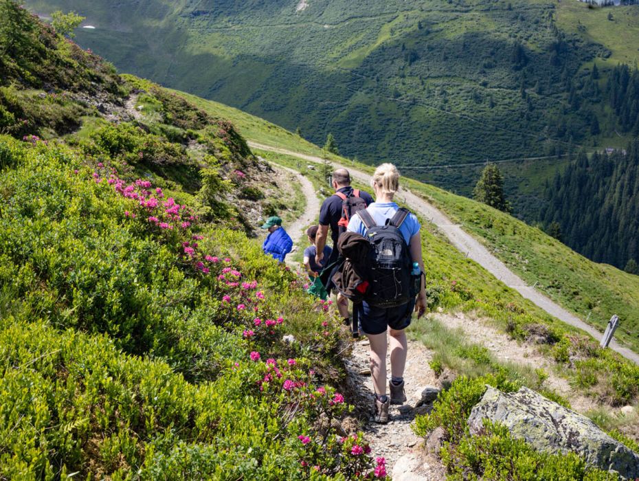 Familienwanderung zur Hacklbergalm in Hinterglemm