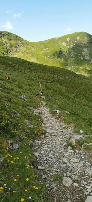 Hauswanderung auf den Hochkogel