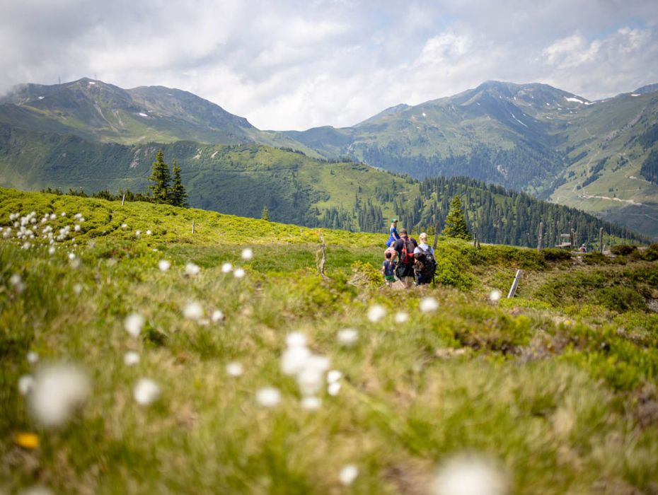 Familienwanderung zur Hacklbergalm in Hinterglemm