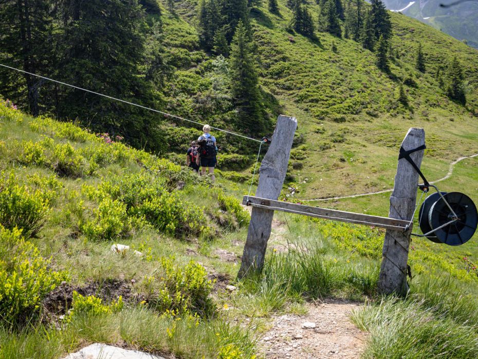 Familienwanderung zur Hacklbergalm in Hinterglemm