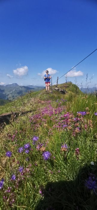Hauswanderung auf den Hochkogel