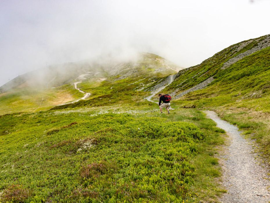 Familienwanderung zur Hacklbergalm in Hinterglemm