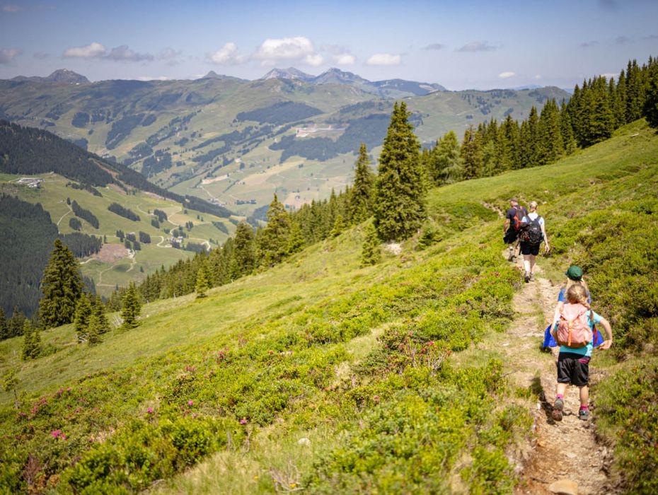 Familienwanderung zur Hacklbergalm in Hinterglemm