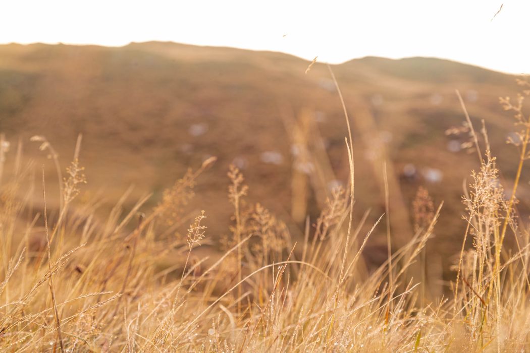 Herbstliche Sonnenaufgangswanderung zur Hochalmspitze
