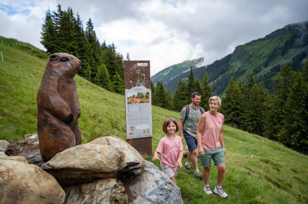 Murmeltier aus Holz - Wildlife Trail - Familienurlaub