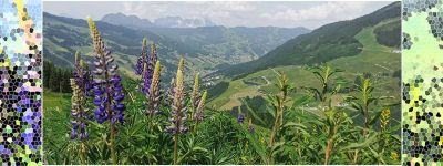 GeoTour Saalbach-Hinterglemm