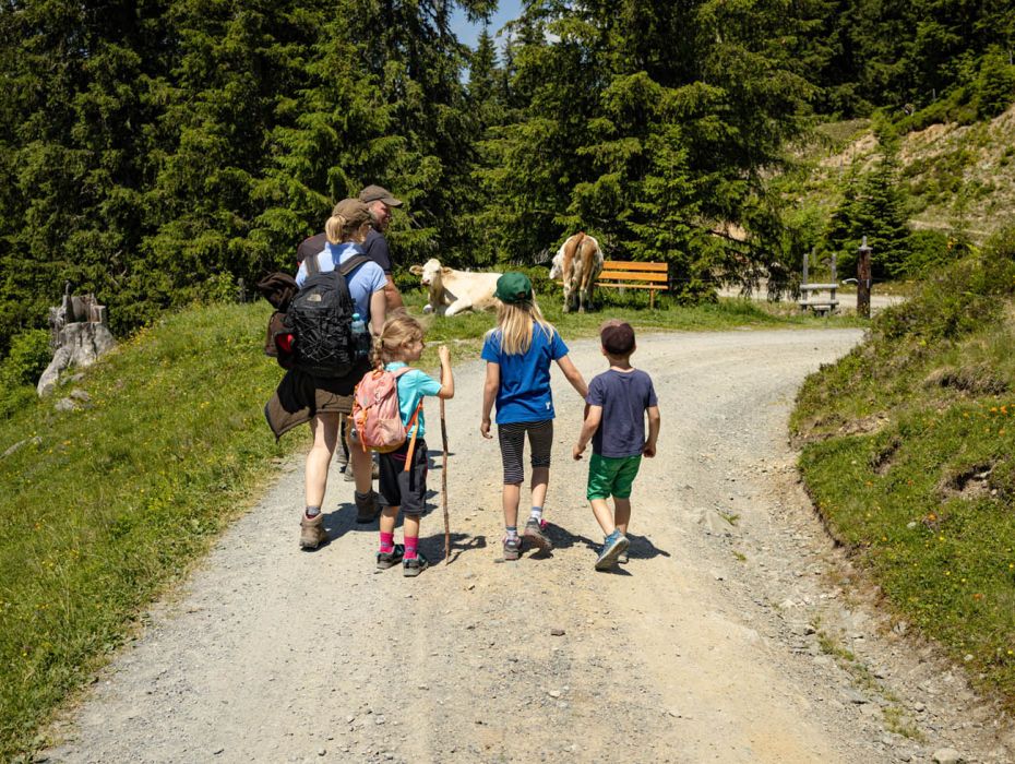 Familienwanderung zur Hacklbergalm in Hinterglemm