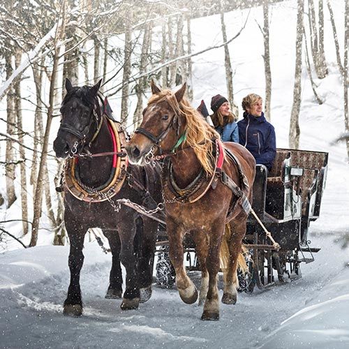 Pferdeschlittenfahrten im Winter