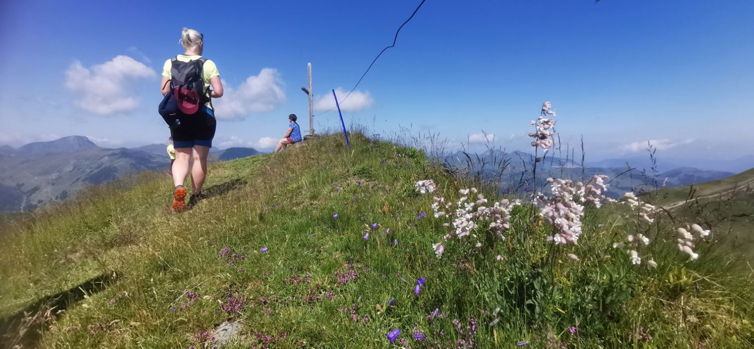 Hauswanderung auf den Hochkogel
