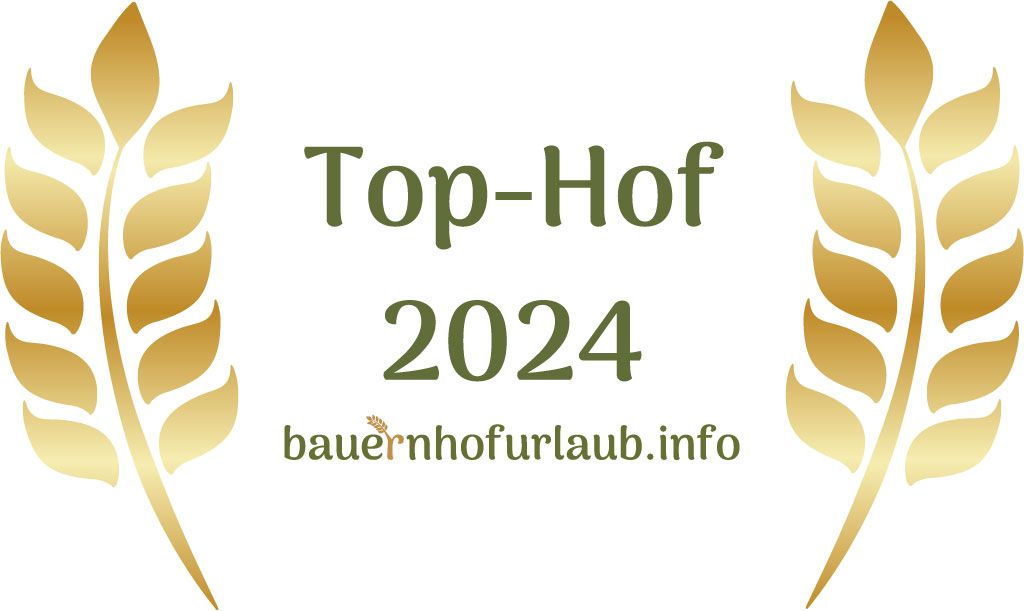 TOP Hof 2024 - 4. Platz Europaweit
