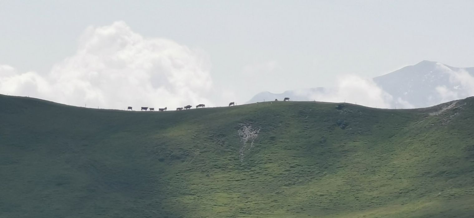 Hauswanderung auf den Hochkogel