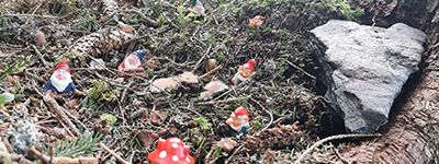 GeoTour Saalbach-Hinterglemm